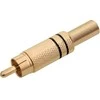 1557# Oem Kištukas RCA juodas - auksinis