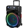 Kruger &amp; Matz Aktyvus garsiakalbis (su 2 belaidžiais mikrofonais UHF, SD, Bluetooth, FM, USB, LED) 60 vatų