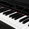 Kruger & Matz Pianino KrugerMatz KMDP-135 skaitmeninis pianinas, blizgiai juodas