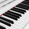 Kruger & Matz KMDP-755 skaitmeninis pianinas, blizgiai baltas