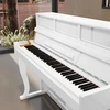Kruger & Matz Pianino KrugerMatz KMDP-755 skaitmeninis pianinas, blizgiai baltas