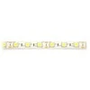 Oem LED juosta SMD5050 IP65 14.4W, 60 LED / m, 10mm, šilta spalva - 5m