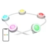 Lepro E1-30 Outdoor Light