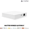 Moes Išmanių namų MATTER komunikacijos stotelė ZigBee BRIDGE TUYA / Smart Life