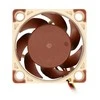 Noctua NF-A4X20 FLX ventiliatorius - 40x40x20mm - 3 kontaktų