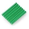 Odseven Radiatorius 40x30x5mm skirtas Raspberry Pi 4 su termolaidžia juosta - žalias