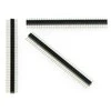 Oem Karpomas kištukas Goldpin 1x40 kaiščių 1.27mm - tiesus