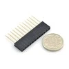 Oem Karpomas lizdas 1x12 kaiščių 2.54mm - vertikalus ilgas