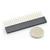 Oem Karpomas lizdas 1x20 kaiščių tiesus 2.54mm - vertikalus ilgas