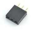 Oem Karpomas lizdas 1x3 kaiščių 2.54mm - vertikalus