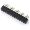 Oem Karpomas lizdas 2x20 kaiščių 2.54mm skirtas Raspberry Pi - kampinis