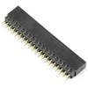 Oem Karpomas lizdas 2x20 kaiščių 2.54mm skirtas Raspberry Pi