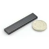 Oem Karpomas lizdas tiesus 1x16 kaiščių 2.54mm - vertikalus