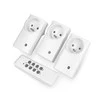 Oem Rebel URZ1226-2 1000W tinklo lizdas - pultelis - 3vnt