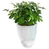 Oliz Savaime laistantis gėlių vazonas – 14.5 cm – baltas – su