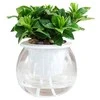 Oliz Savaime laistantis vazonas - 10.2 cm - Baltas - Automatinis augalų laistymas