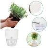 Oliz Savaime laistomas gėlių vazonas - 10.2 cm - baltas - automatinis augalų laistymas