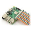 Openplatform Laidas IDC 40 kontaktų lizdas-lizdas 20cm Raspberry Pi 4B/3B+/3B/2B