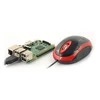 BLOW 84-011 BLOW Optinė pelė MP-20 USB red
