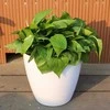 Oem PATIO savaiminio drėkinimo vazonas - 22 cm baltas plastikinis vazonas