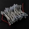 Oem Pikselių grandinė – 50x LED 5mm baltas