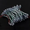 Oem Pixel grandinė - 50x LED 5mm žalia