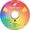 Polymaker Panchroma PLA 1.75mm 1kg - Geltona