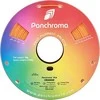 Polymaker Panchroma PLA 1.75mm 1kg - Oranžinis