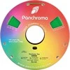 Polymaker Panchroma PLA 1.75mm 1kg - Žalias