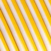Polymaker Panchroma PLA DUAL SILK plastikas - Crown Gold-Sidabrinis