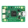 Raspberry Pi Debug Probe - USB derintuvas, skirtas Raspberry Pi Pico