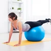 Reabilitacinis gimnastikos kamuolys 65 cm su rankine pompa, mėlynas, REBEL ACTIVE