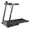 REBEL ACTIVE elektrinis bėgimo takelis, modelis RBA-1018