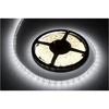 Rebel LED juosta 5m šaltai balta (300x5050 SMD) 12V