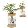 Oem Savaime laistantis gėlių vazonas - 10.2 cm - Baltas - Automatinis augalų laistymas