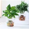 Oem Savaime laistantis gėlių vazonas - 10.2 cm - Baltas - Automatinis augalų laistymas