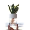 Oem Savaime laistantis gėlių vazonas - 10.2 cm - Baltas - Automatinis augalų laistymas