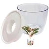 Oem Savaime laistantis gėlių vazonas - 10.2 cm - Baltas - Automatinis augalų laistymas