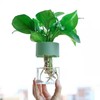 Oem Savaime laistantis gėlių vazonas - 10.2 cm - Baltas - Automatinis augalų laistymas