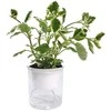 Oem Savaime laistantis gėlių vazonas – 14.5 cm – baltas – su