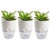 Oem Savaime laistantis gėlių vazonas – 14.5 cm – baltas – su