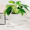 Oem Savaime laistantis gėlių vazonas – 14.5 cm – baltas – su
