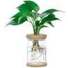Oem Savaime laistantis vazonas - 10.2 cm - Baltas - Automatinis augalų laistymas