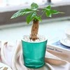 Oem Savaime laistantis vazonas - 10.2 cm - Baltas - Automatinis augalų laistymas
