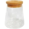 Oem Savaime laistantis vazonas - 10.2 cm - Baltas - Automatinis augalų laistymas