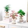 Oem Savaime laistantis vazonas - 10.2 cm - Baltas - Automatinis augalų laistymas