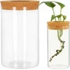 Oem Savaime laistomas gėlių vazonas - 10.2 cm - baltas - automatinis augalų laistymas