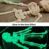 Siraya Tech Craft – 1kg – Glow In The Dark