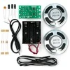 Stereo Amplifier Kit - komplektas stiprintuvui gaminti - Kitronik 2179