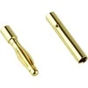 The World Models GOLD kištukai - 2mm - pora -
